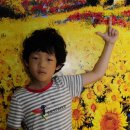 양강초등학교 이미지