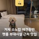 이마트24 소노캄웨스트점 | 거제 소노캄 애견동반 펫 패밀리룸 부대시설 근처 맛집