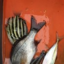 창일민박 이미지