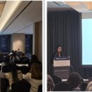 자기발견의 시작, 성장과 치유를 위한 애니어그램 이미지