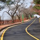 우암산순환로 이미지