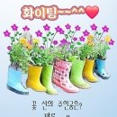 빵심이네 이미지
