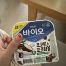 스테이 레브 | 순천여행 독채 감성숙소 추천 에어비앤비 스테이레브
