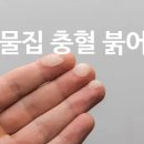 일광참기름 네이버블로그