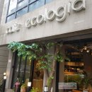 에콜로지아 이미지