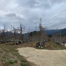 안성면104 이미지