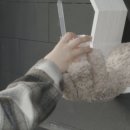 곰손카페 이미지