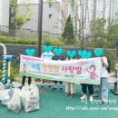 중삼 | 장현맘 카페 릴레이 캠페인 3차 플로깅 후기 &amp; 중삼이 입원기 ㅠ