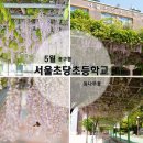서울초당초등학교 이미지