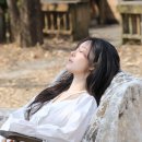 나비(NAVI) 이미지
