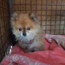 석전중학교 이미지