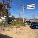 반계1리마을회관 | 2025.11.17 반계리 은행나무 보고 온 후기 (부제 : 이미 많이 떨어진 은행잎)