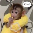 라스트 댄스를 춰보자