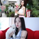 프리지아 이미지