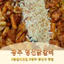 동네맛집 | 광주 광산구 월곡동맛집 '영선닭갈비' 방문 후기
