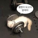 커샐 | [대구 중구] 갓성비 신선함이 가득한 샐러드🥗전문점 “커샐” 후기!