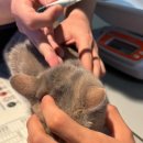 울산 쉼표동물병원 이미지