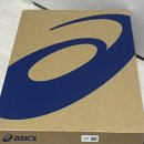 (주)블라스트 | 아식스 메가블라스트 4개월 후기