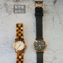라벤더(LAVENDA)