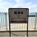 신지 | [일본/마쓰야마] 마쓰야마 가볼만한곳 바다가 보이는 바이신지역 가는 방법 미깡파크 후기