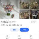 디어모모