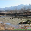 하대천 이미지