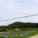 우정읍사무소 1 이미지