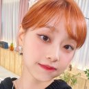 오렌지빈티지 이미지