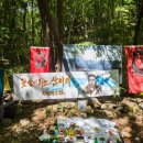 진달래산천 이미지