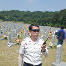 대한적십자 대전세종지사 재난대응봉사회에서 대전현충원 묘지안내 미아찿기 응급처치 급수봉사등 20180606 이미지