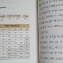 황금부엉이
