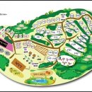 아잘리아그린 이미지