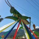 경북축제 성주 메뚜기축제 🦗