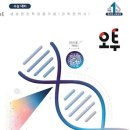 오투