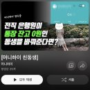 안지향 이미지