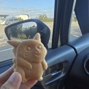 순익농장 | 20251231 타이중 해양관(台中海洋館)에서 고미습지(高美濕地)로 이동하며