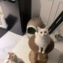 양덕미장 이미지