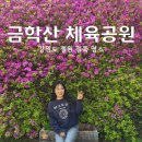 하늘숲땅숲공원 이미지