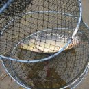 고산낚시터 이미지