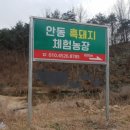 안동흙돼지농장 이미지