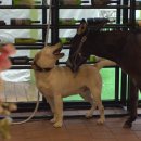 규성농장 이미지