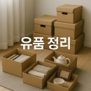 주식회사 다시봄 이미지