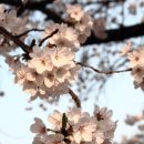 옥포로,비슬로468길 이미지