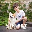 미니펫강아지고양이 - 성동구 성덕정길 96-1 | 미니펫강아지고양이