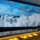 금강수변공원(대평동) | 대평동커피맛집/에어포트327