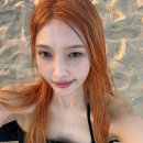 조이 이미지