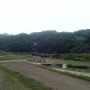 고대1084 이미지