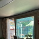 월오포레스트 이미지