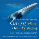 6월 7일 '밍크고래 보호종 지정 촉구' 울산고래축제 기자회견을 합니다 이미지