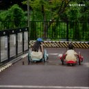 빌리풀